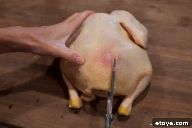 Miso Roast Chicken cutting along backbone Miso Roast Chicken cutting along the backbone