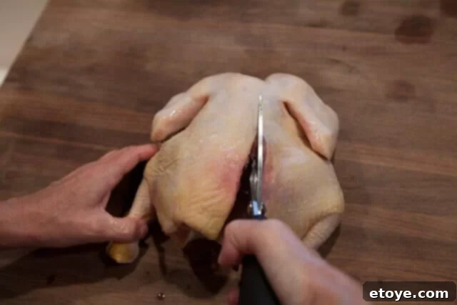 Miso Roast Chicken cutting backbone Miso Roast Chicken cutting all the way up the backbone