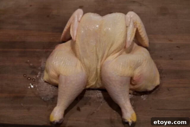 Miso Roast Chicken flattened Miso Roast Chicken flipped and flattened