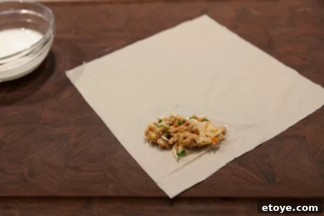 Fold Spring Roll Wrapper Tightly