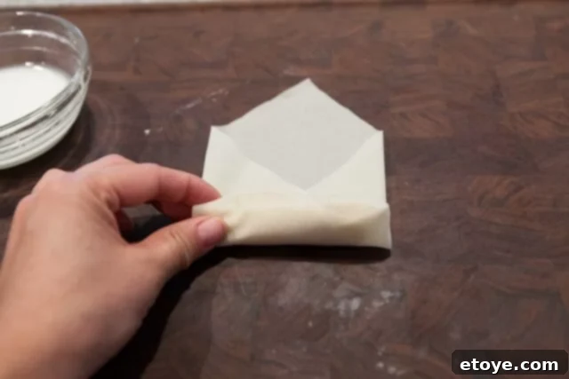 Ready to Seal Spring Roll