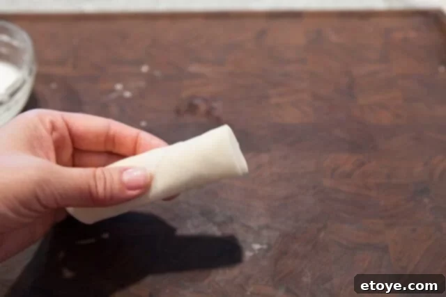 Neat and Tidy Spring Roll