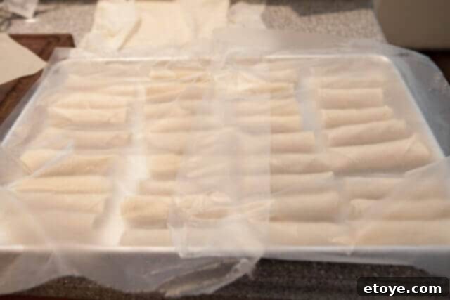 Prepared Spring Rolls, Can be Frozen