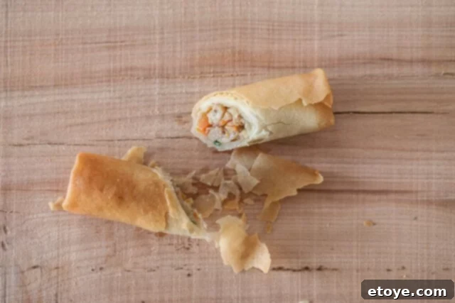 Crispy Chinese Spring Rolls with Chicken