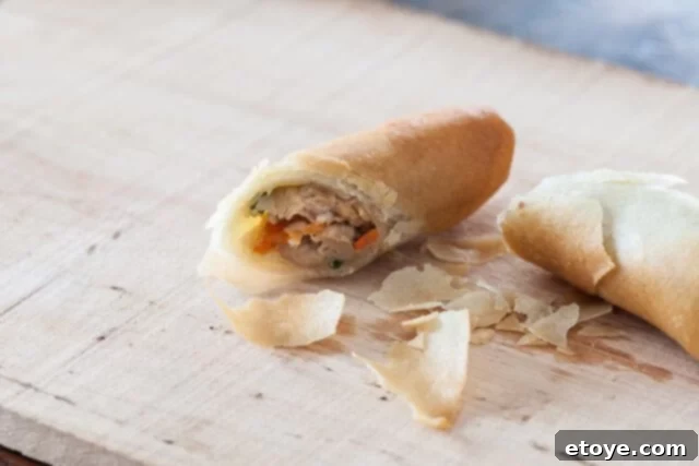 Delicious Chinese Spring Rolls with Chicken