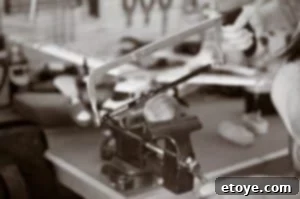 raw_oysters_asian_mignonette-046