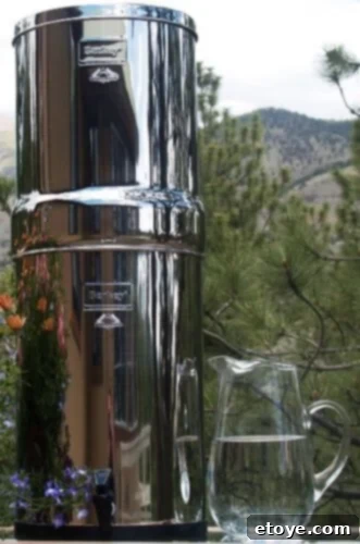 Crown Berkey Water Filtration System
