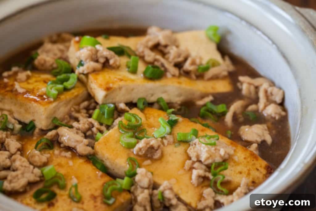 Chinese Braised Tofu with Ground Pork Recipe - A close-up of the dish showing crispy tofu and ground pork in a rich sauce