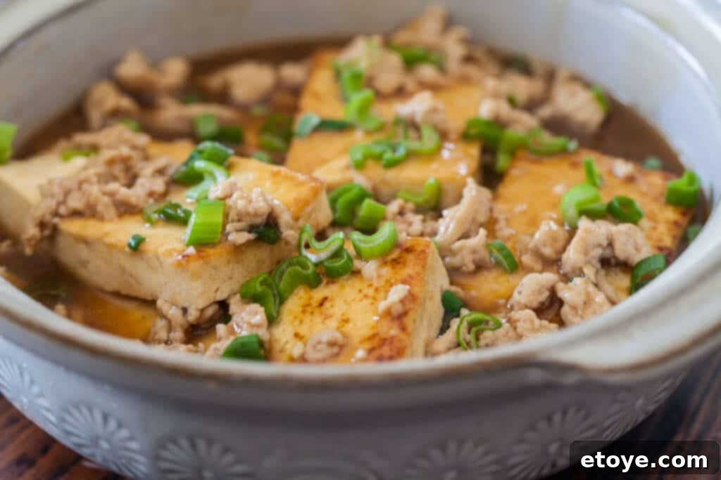 Side shot of Tofu with Ground Pork in a bowl, showing the rich sauce