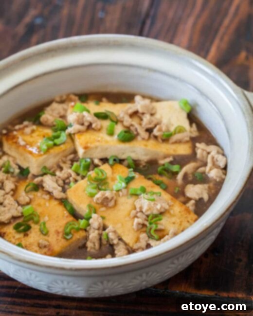 Finished dish of Chinese Braised Tofu with Ground Pork presented beautifully