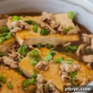 Chinese Braised Tofu with Ground Pork Recipe