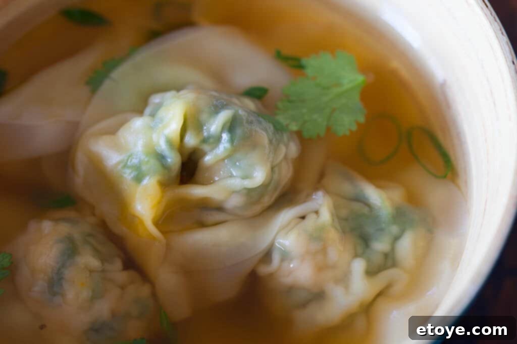 Pork and Spinach Wontons Recipe - Serving Suggestions Serving Pork and Spinach Wontons with Dipping Sauce