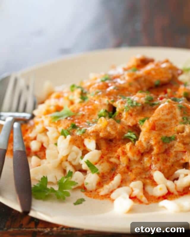 Hungarian Pork Stew Recipe