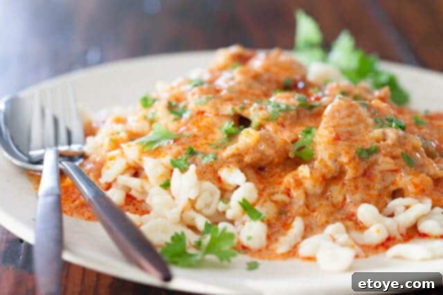 Hungarian Pork Stew Recipe