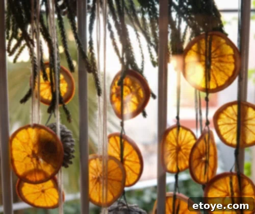 Dehydrated orange slices strung into a garland bring a burst of color and a whisper of sweet citrus scent to your autumn décor.