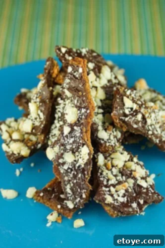 dark-chocolate-toffee-macadamia-bark-recipe-2