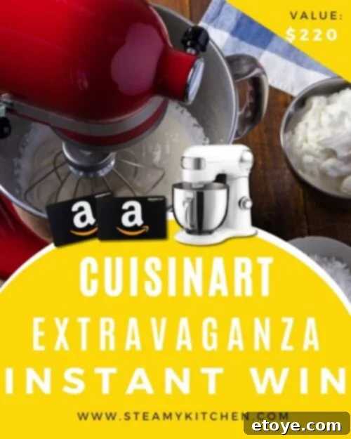 CuisinArt Instant Win Celebration 2 1 cuisinart extravaganza instant win