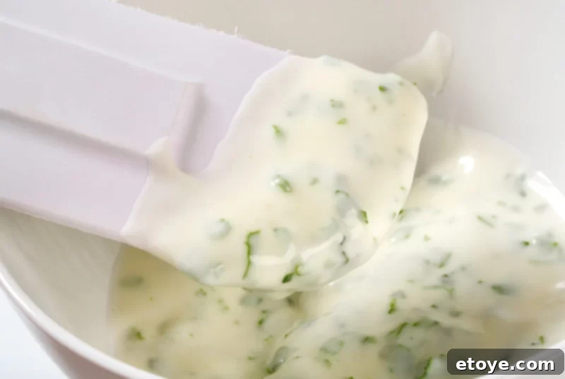 Tarragon Yogurt Dressing 3 Bowl of fresh Tarragon Yogurt Dressing, ready to be served with a spatula