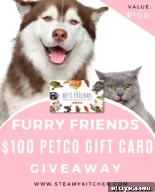 Win a $100 Petco Gift Card for Your Furry Friend 2 Happy dog and cat celebrating a $100 Petco gift card win, surrounded by pet supplies