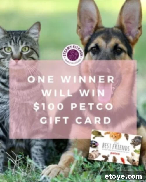 Win a $100 Petco Gift Card for Your Furry Friend 3 Close-up of a happy dog wagging its tail, looking at various Petco products like toys and treats