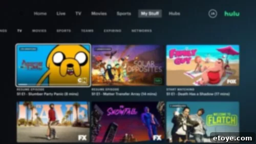 Hulu streaming platform interface showcasing a variety of popular shows including 'Adventure Time', 'Solar Opposites', 'Family Guy', 'Dave', 'Snowfall', and 'Welcome to Flatch', inviting viewers to endless entertainment.