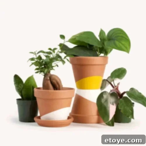 Think Inside The Box Your Essential Subscription Gift Guide 9 A diverse collection of thriving indoor plants, each housed in stylishly painted terracotta pots, showcasing Horti's ability to bring greenery indoors and simplify plant care for enthusiasts.
