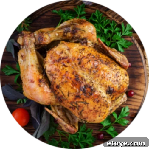 A beautifully roasted Thanksgiving turkey