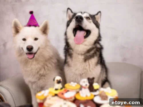 Chinese New Year dog birthdays celebration