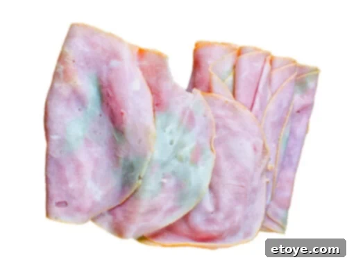 How Long Your Lunch Meat Stays Fresh in the Fridge 4 Moldy ham. When it doubt, throw it out!