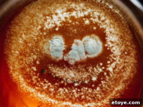 Shelf Life of Refrigerated Tea 5 Mold growing in tea