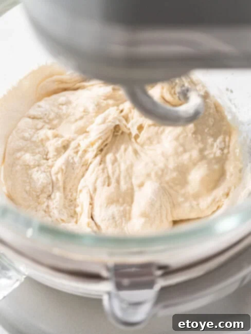 Homemade Bread Made Easy 10 Stand Mixer Recipes 2 A stand mixer with a bowl of dough, ready for baking.