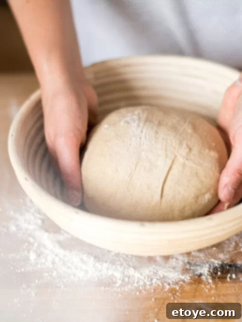 Homemade Bread Made Easy 10 Stand Mixer Recipes 4 A final image of a stand mixer and baked goods.