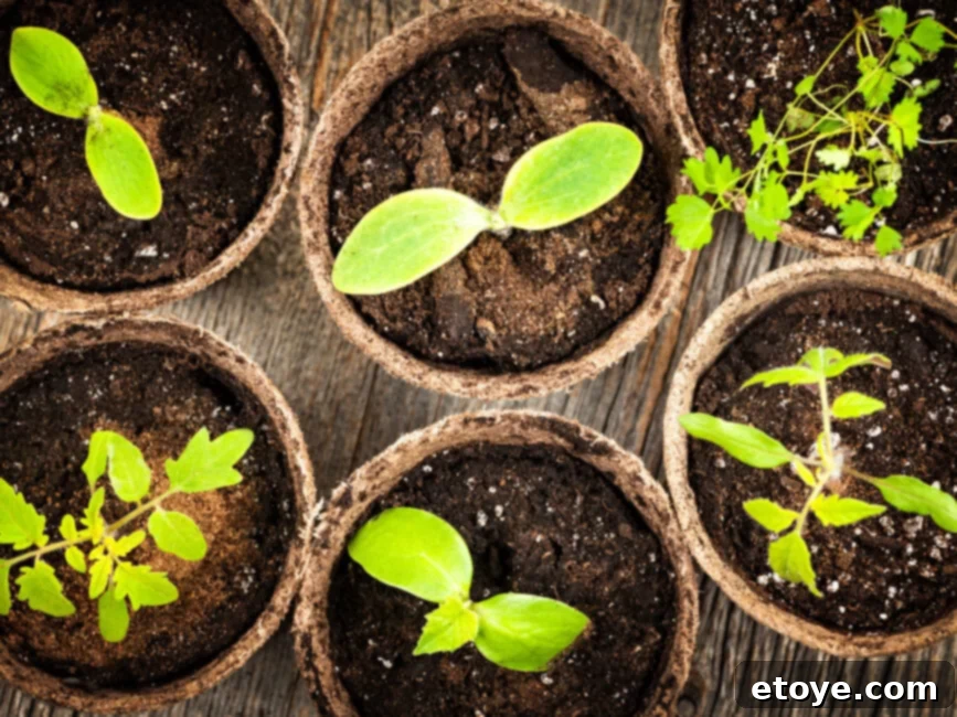 Inspecting an herb leaf for common indoor garden pests like aphids