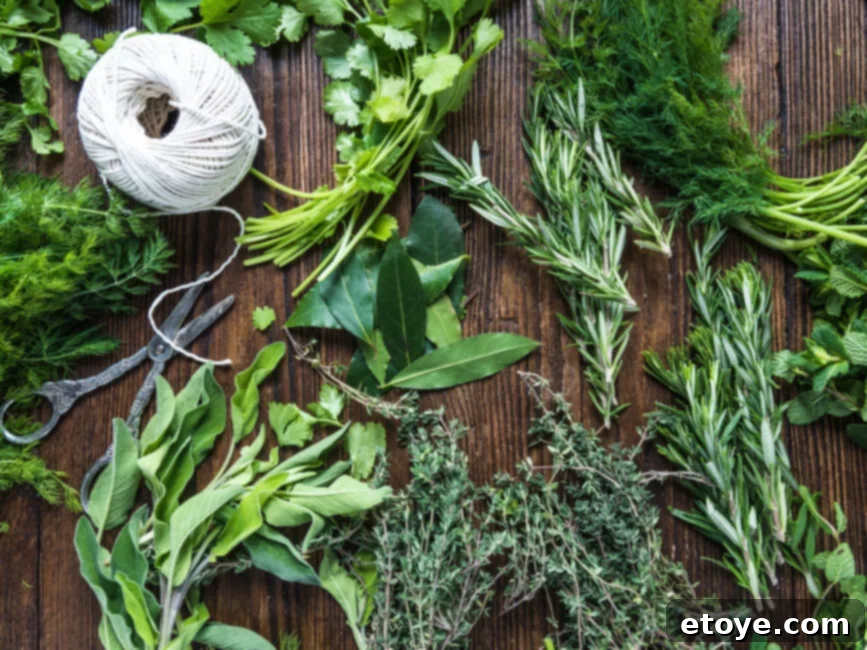 Variety of popular herbs for indoor gardening like basil, mint, and parsley