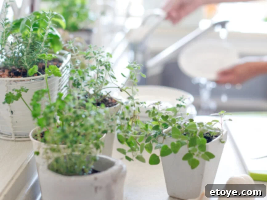 Assortment of terracotta and plastic pots with drainage holes for growing herbs