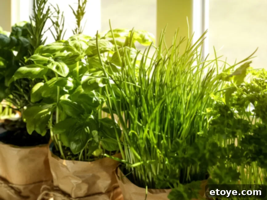 Indoor herbs thriving under an LED grow light for optimal growth