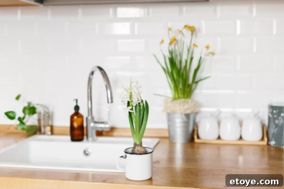 15 Essential Swaps for a Sustainable and Eco-Friendly Kitchen 2 Kitchen Counter with Eco-Friendly Products