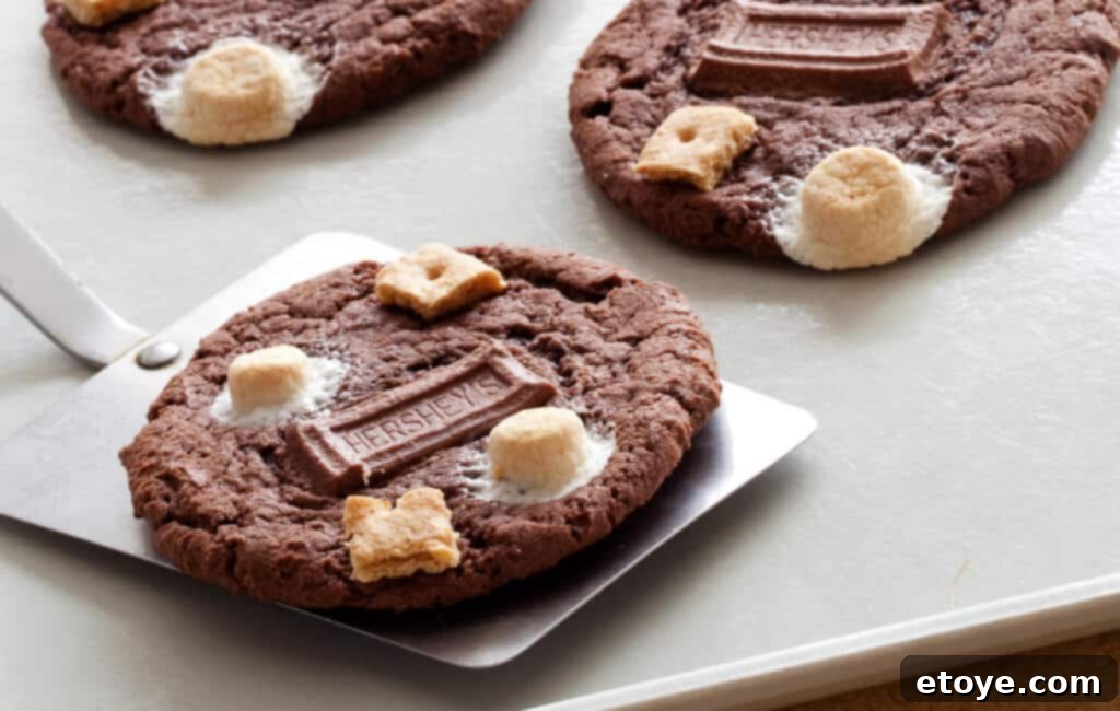 Campfire Chocolate Cake Cookies 4 Delicious Chocolate Cake S'mores Cookies