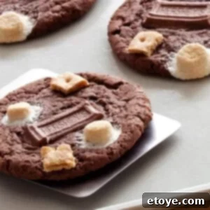 Campfire Chocolate Cake Cookies 5 Chocolate Cake S'mores Cookies