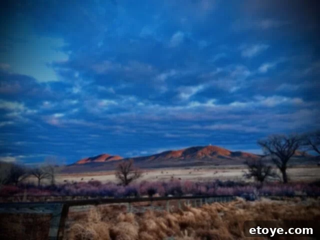 Ranch Living, Wok Stirring: Circulon ScratchDefense in Action 4 The serene nightly view overlooking the ranch