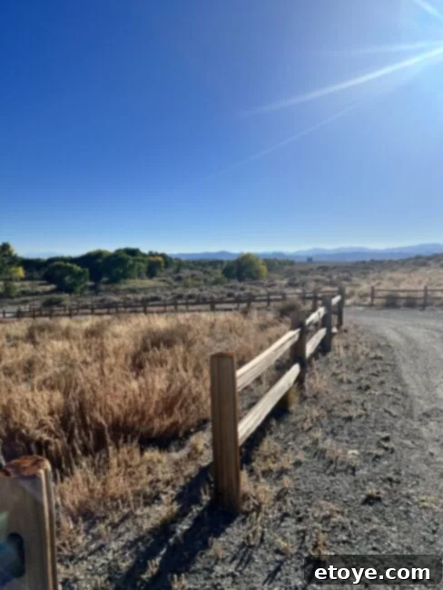Ranch Living, Wok Stirring: Circulon ScratchDefense in Action 8 Breathtaking views of the vast ranch at sunrise