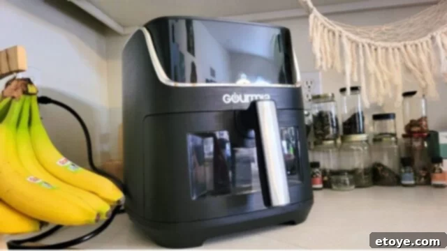 Gourmia air fryer