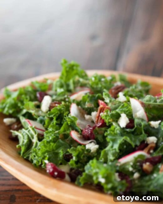 Kale Salad with Cherries and Pecans Kale Salad with Cherries and Pecans - A vibrant, healthy, and satisfying dish perfect for any meal
