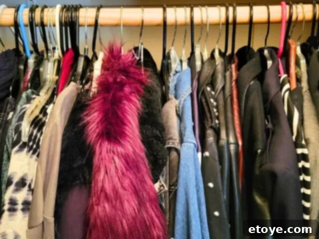 Spring Cleaning: Transform Your Home, Revitalize Your Mind 4 Closet spring cleaning: Decluttering clothes to reflect personal growth and style. Create a wardrobe that truly sparks joy and aligns with your current self.