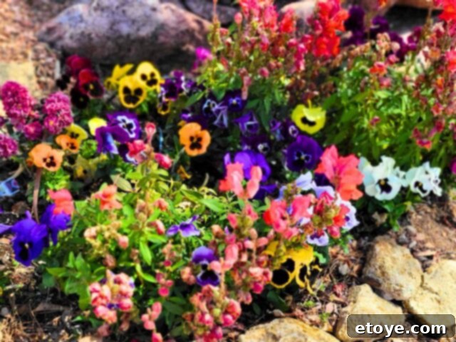 Spring Cleaning: Transform Your Home, Revitalize Your Mind 5 Spring Flowers symbolizing inner peace and spiritual alignment after decluttering. Embrace new beginnings with a renewed heart, mind, and spirit.