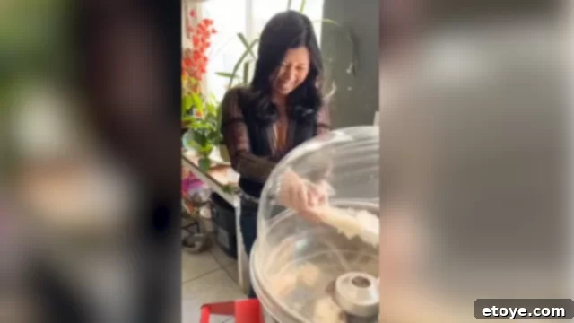 Cotton candy threads flying everywhere in the kitchen