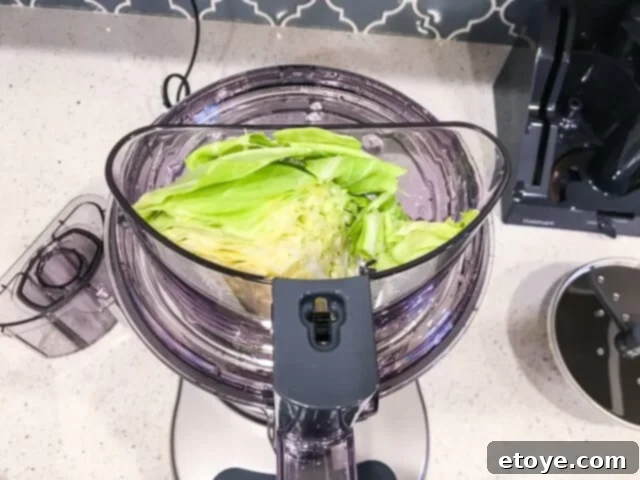 Getting Started With Your Food Processor 7 Various cleaned and disassembled food processor parts drying on a dish rack.