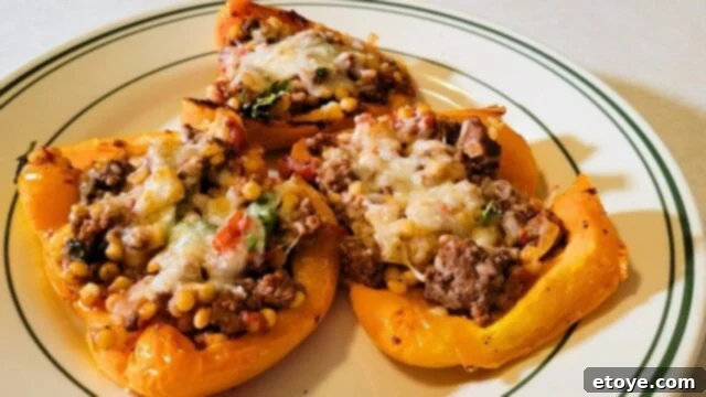 HelloFresh Review: Your Top Choice for Meal Kits in 2024 14 Close-up of HelloFresh Italian Beef Stuffed Bell Peppers