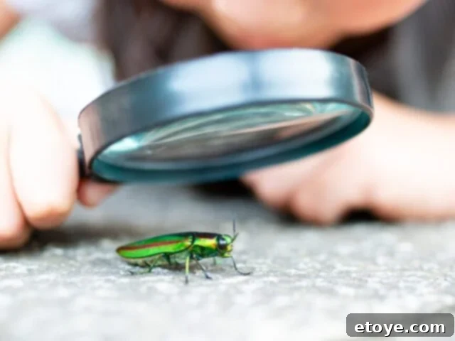 Beat the Rut: 3 Steps to Reignite Your Drive and Find Your Spark 3 A person looking at a map, symbolizing the act of finding novelty and exploring new interests.