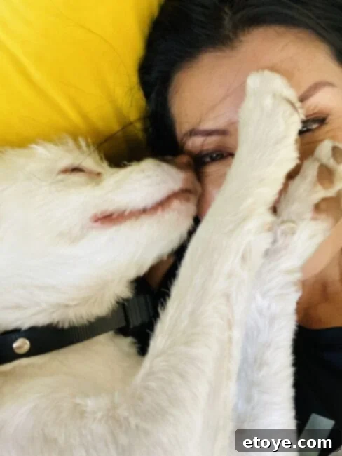 Riley & Jaden, dog as a symbol of loyalty, positive influence and a protective presence